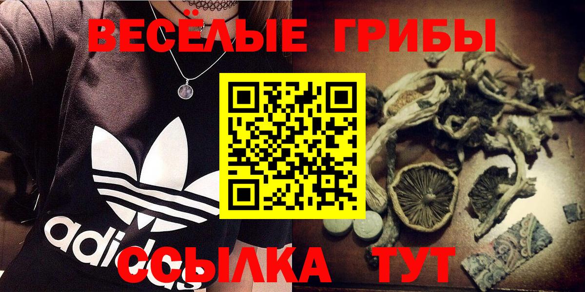 Псилоцибиновые грибы Psilocybe  Вход с VPN  Семёнов 