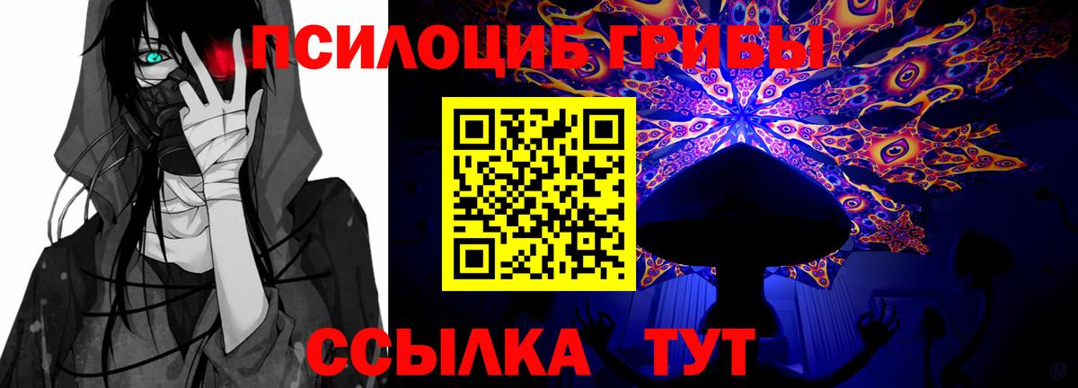 Псилоцибиновые грибы Psilocybe Семёнов